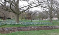 Himley Hall and Park 1071229 Image 4